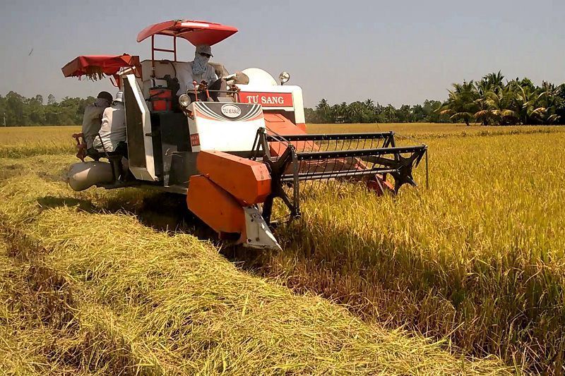 Máy gặt thay cho công việc thủ công trên cánh đồng