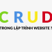 Hình Ảnh CRUD Trong Lập Trình Website